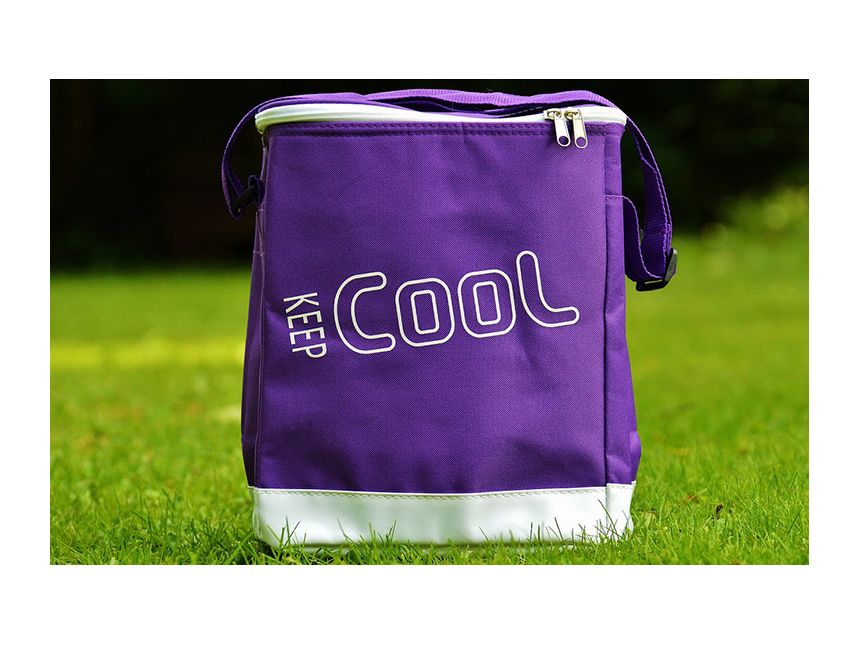 Printed Cooler Bags 