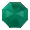 Umbrella With Silver Underside Green - Silver | Without Branding