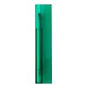 Plastic Transparent Ruler (12Cm) Transparent - Green | Without Branding