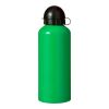 Aluminium Drinking Bottle (650Ml) Green | Without Branding