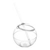 Fiesta Ball & Straw Transparent | Without Branding