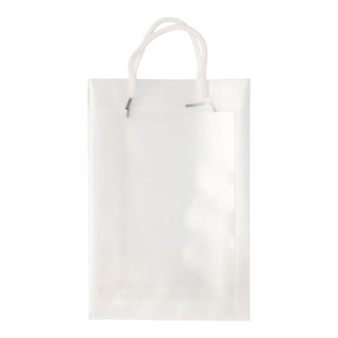 Promotional/Exhibition Bag Transparent | Without Branding