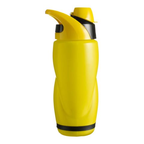 Bottle With 650Ml Capacity 