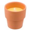 Citronella Candle In Clay Pot Brown | Without Branding