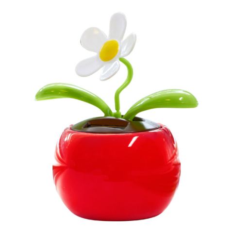 Solar Flower Red | Without Branding